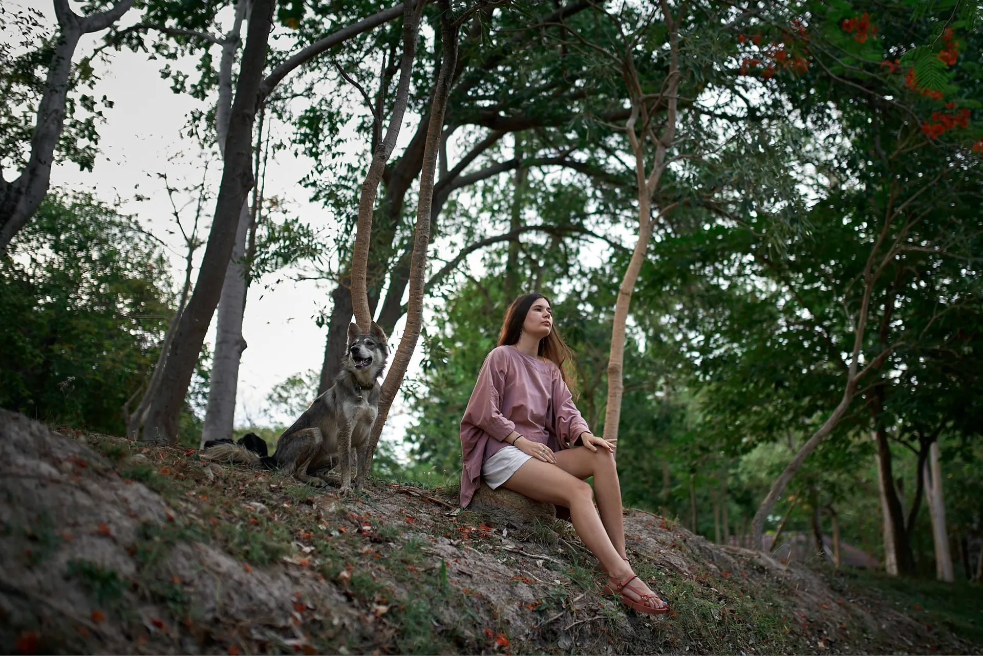 Nana seated under trees with a dog beside her